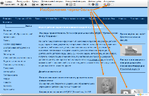 �����������